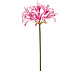 Fleur artificielle Nerine rose 75 cm Fleur artificielle Nerine rose 75 cm