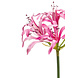 Fleur artificielle Nerine rose 75 cm Fleur artificielle Nerine rose 75 cm