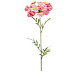Fleur artificielle Aneth rose 72 cm Fleur artificielle Aneth rose 72 cm