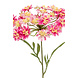Fleur artificielle Aneth rose 72 cm Fleur artificielle Aneth rose 72 cm