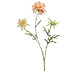 Fleur artificielle Scabiosa x3 peche 77 cm Fleur artificielle Scabiosa x3 peche 77 cm
