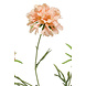 Fleur artificielle Scabiosa x3 peche 77 cm Fleur artificielle Scabiosa x3 peche 77 cm