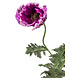 Fleur artificielle Coquelicot violet 100 cm Fleur artificielle Coquelicot violet 100 cm