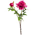 Fleur artificielle pivoine beauté 73 cm Fleur artificielle pivoine beauté 73 cm