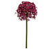 Fleur artificielle Allium bordeaux 80 cm Fleur artificielle Allium bordeaux 80 cm