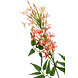 Fleur artificielle Jasmin x2 peche 80 cm Fleur artificielle Jasmin x2 peche 80 cm
