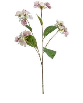 Hortensia artificiel - Easyplants