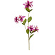 Fleur artificielle Akelei fuchsia 85 cm Fleur artificielle Akelei fuchsia 85 cm