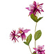 Fleur artificielle Akelei fuchsia 85 cm Fleur artificielle Akelei fuchsia 85 cm