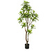 Plante artificielle arbre Dracaena 155 cm Plante artificielle arbre Dracaena 155 cm
