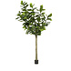 Plante artificielle Ficus Lyrata arbre 300 cm Plante artificielle Ficus Lyrata arbre 300 cm