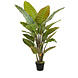 Plante artificielle Strelitzia 135 cm Plante artificielle Strelitzia 135 cm
