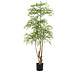 Plante artificielle Ruscus 180 cm Plante artificielle Ruscus 180 cm