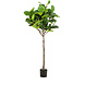 Plante artificielle Ficus Lyrata 195 cm Plante artificielle Ficus Lyrata 195 cm