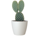 Pot de fleurs San Remo Matt White Pot de fleurs San Remo Matt White