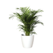 Pot de fleurs San Remo Matt White Pot de fleurs San Remo Matt White