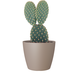 Pot de fleurs San Remo Matte Taupe Pot de fleurs San Remo Matte Taupe