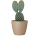Pot de fleurs San Remo Beige Pot de fleurs San Remo Beige