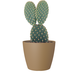 Pot de fleurs San Remo Matte Mustard Pot de fleurs San Remo Matte Mustard