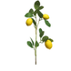 Branche artificielle de citron 74 cm Branche artificielle de citron 74 cm