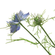 Fleur artificielle Nigella Damascena 66 cm bleu Fleur artificielle Nigella Damascena 66 cm bleu