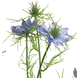 Fleur artificielle Nigella Damascena 66 cm bleu Fleur artificielle Nigella Damascena 66 cm bleu