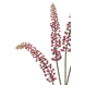 Fleur artificielle Carmine berry 93 cm violet Fleur artificielle Carmine berry 93 cm violet
