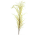 Herbe de pampa artificielle XL 160 cm creme Herbe de pampa artificielle XL 160 cm creme
