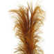 Herbe de pampa artificielle XL 160 cm brun Herbe de pampa artificielle XL 160 cm brun