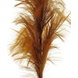 Herbe de pampa artificielle XL 160 cm brun Herbe de pampa artificielle XL 160 cm brun