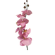 Orchidée Phalaenopsis 78 cm rose Orchidée Phalaenopsis 78 cm rose