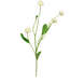 Fleur artificielle Bellis Hybrid 58 cm blanc Fleur artificielle Bellis Hybrid 58 cm blanc