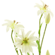 Fleur artificielle Lys sauvage 94 cm Crème Fleur artificielle Lys sauvage 94 cm Crème