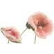 Fleur artificielle Coquelicot 70 cm rose Fleur artificielle Coquelicot 70 cm rose