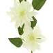 Fleur artificielle Clematis 81 cm créme Fleur artificielle Clematis 81 cm créme