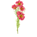 Fleur artificielle Cosmos Bibi 77 cm rose Fleur artificielle Cosmos Bibi 77 cm rose