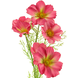 Fleur artificielle Cosmos Bibi 77 cm rose Fleur artificielle Cosmos Bibi 77 cm rose