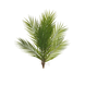 Plante artificielle Areca Palm bush 60 cm vert Plante artificielle Areca Palm bush 60 cm vert