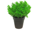 Plante artificielle Pin 20 cm vert Plante artificielle Pin 20 cm vert