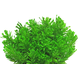 Plante artificielle Pin 20 cm vert Plante artificielle Pin 20 cm vert