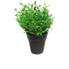 Plante artificielle Mini Rose 19 cm verte Plante artificielle Mini Rose 19 cm verte