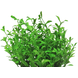 Plante artificielle Mini Rose 19 cm verte Plante artificielle Mini Rose 19 cm verte