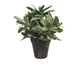 Plante artificielle Stachys 22 cm Crème Plante artificielle Stachys 22 cm Crème