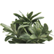 Plante artificielle Stachys 22 cm Crème Plante artificielle Stachys 22 cm Crème