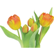 Fleur artificielle Tulipe en pot 24 cm orange Fleur artificielle Tulipe en pot 24 cm orange