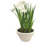 Fleur artificielle Jonquille 18 cm Crème Fleur artificielle Jonquille 18 cm Crème