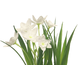 Fleur artificielle Jonquille 18 cm Crème Fleur artificielle Jonquille 18 cm Crème