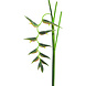 Fleur artificielle Heliconia Ecosia 128 cm verte Fleur artificielle Heliconia Ecosia 128 cm verte