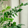 Plante artificielle Fishtail Palm 190 cm Plante artificielle Fishtail Palm 190 cm