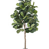 Tabac Artificiel Ficus Lyrate 180 cm Tabac Artificiel Ficus Lyrate 180 cm